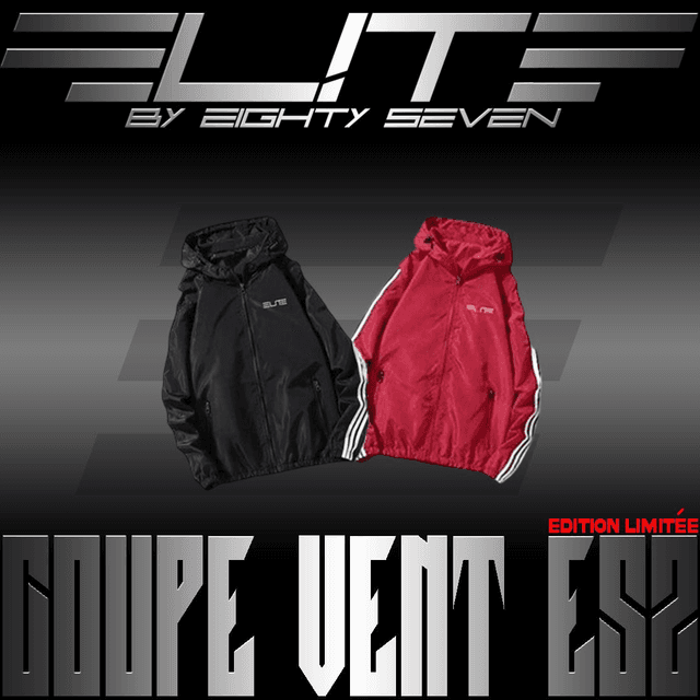 Coupe vent ES2 (éditon limitée) Elitebyes 